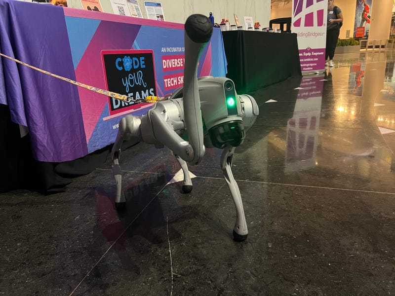 "Benny" the robot was coded by a group of eighth grade girls this summer as part of Code Your Dreams' Dance and Robotics program. 