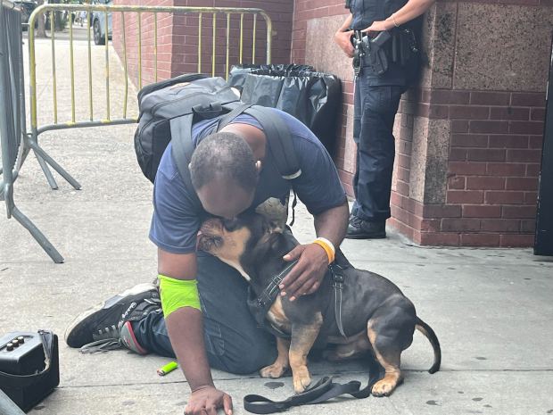 Charles Williams hugs his American Bully dog, Roc, after they were reunited outside the NYPD's 44th Precinct stationhouse in the Bronx on Thursday, Aug. 14, 2025. (Julian Roberts-Grmela / New York Daily News)