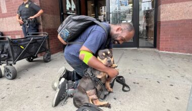 American Bully dog stolen on NYC subway reunited with overjoyed owner