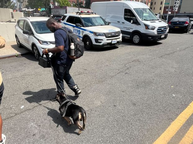 Charles Williams leaves the NYPD's 44th Precinct stationhouse in the Bronx on Thursday, Aug. 14, 2025, after he was reunited with his American Bully dog, Roc. (Julian Roberts-Grmela / New York Daily News)