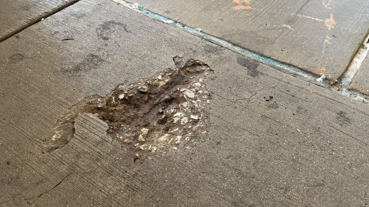 See the ‘Squirrel hole,’ Chicago’s latest concrete rodent imprint – NBC Chicago
