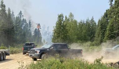 Extreme wildfire risk prompts closure of all Crown land in New Brunswick