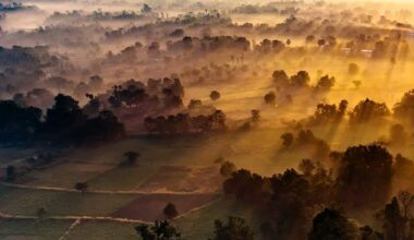 "It's astonishing": animal in India sings when sun is precisely 3.8° below horizon every dawn, say scientists