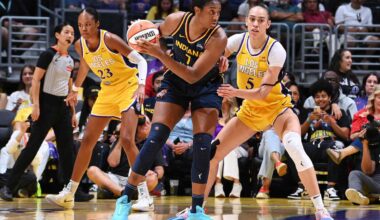 Sex Toy Thrown Onto the Court Halts a WNBA Game For a Third Time