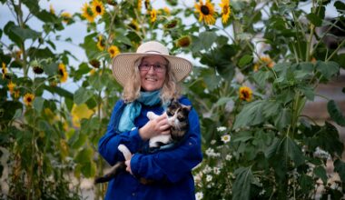 How the managers of Oregon's $100 billion pension fund lost big