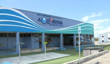 PETA to protest touch tanks at San Antonio Aquarium after viral octopus encounter