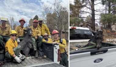 Grand Canyon Lodge’s historic sculpture is on the move; where he’ll come home
