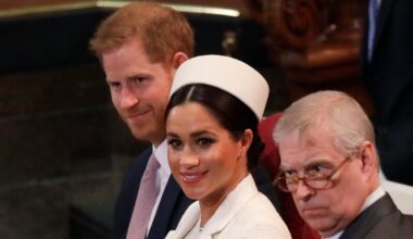 Andrew Called Meghan an ‘Opportunist’ and Got Punched by Harry