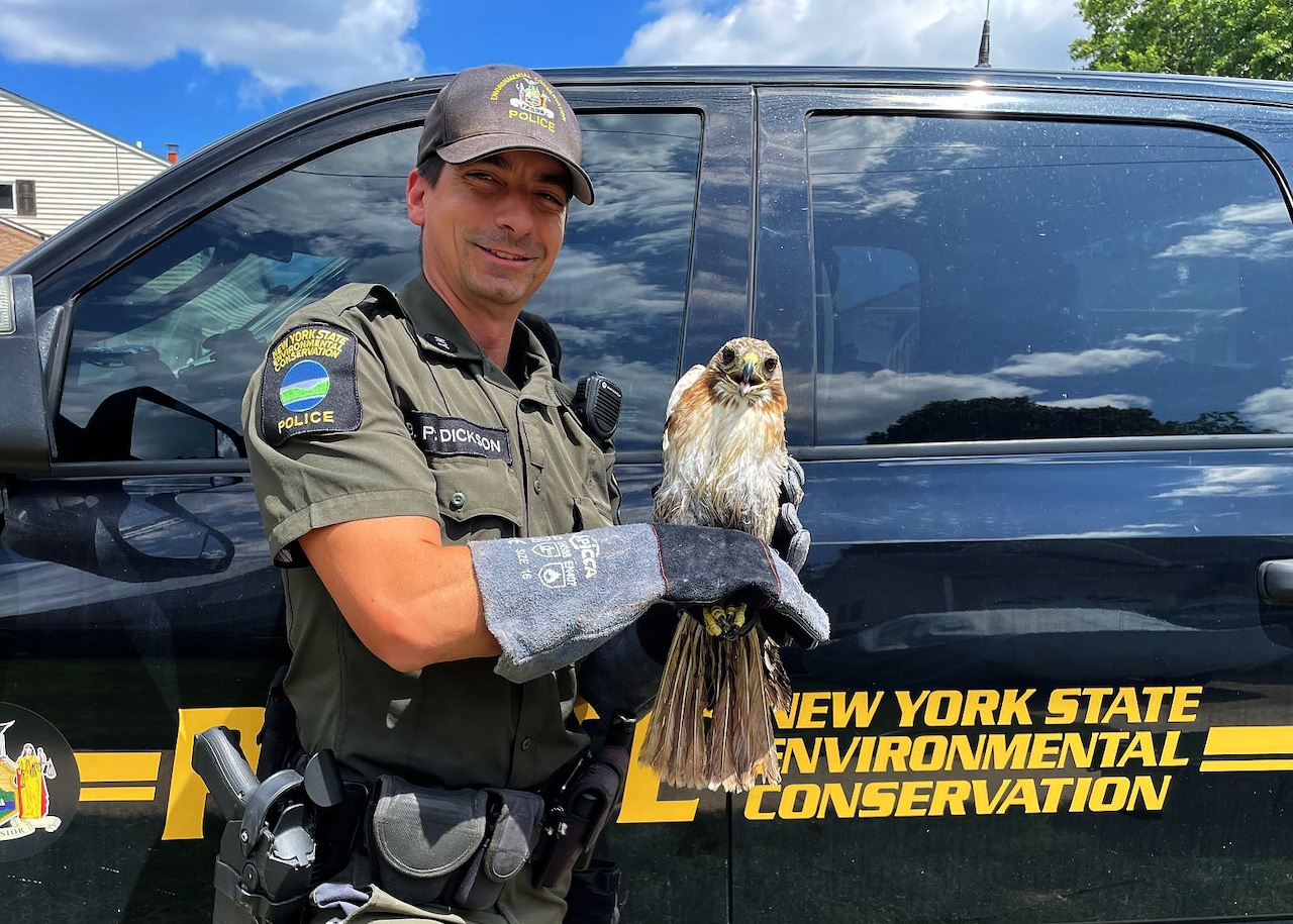 NYS DEC police report for July/August 2025