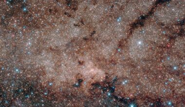 James Webb Space Telescope discovers evidence of a new planet