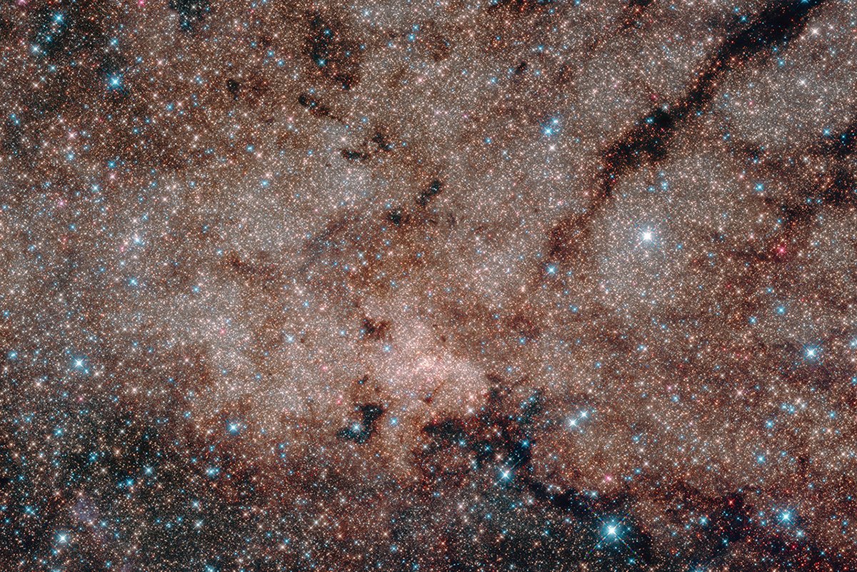 James Webb Space Telescope discovers evidence of a new planet