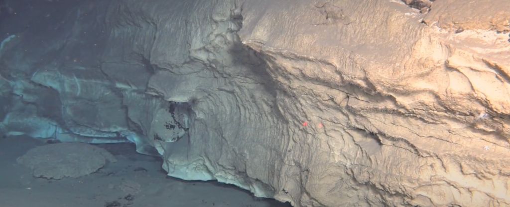 Stunning Discovery Deep in The Ocean Dwarfs The Famous 'Lost City' : ScienceAlert