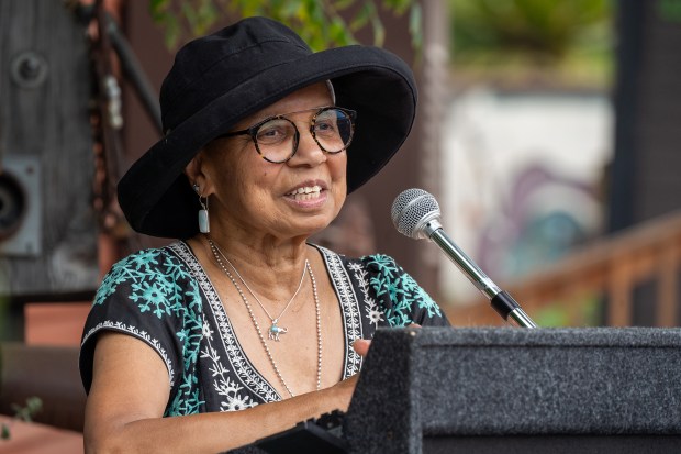 Jacqueline Sykes, chief administrator of St. Elmo Village, speaks before...