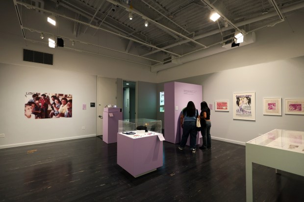 The Vincent Price Art Museum at East Los Angeles College...