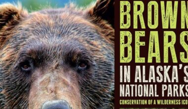 Book review: 35 brown bear experts share their knowledge and research goals