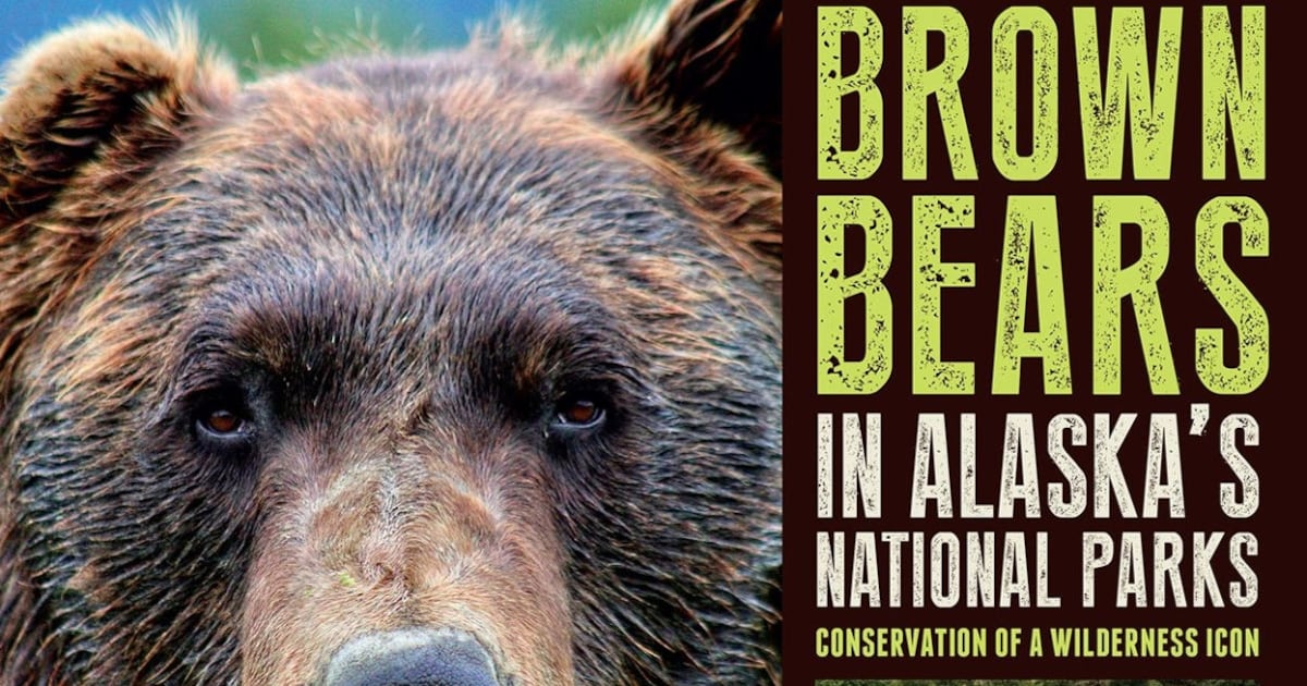 Book review: 35 brown bear experts share their knowledge and research goals