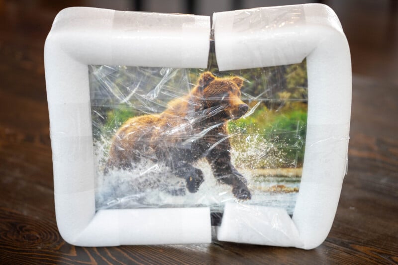 A framed photo of a brown bear running through water, wrapped in plastic and white foam corner protectors, sits on a wooden surface.