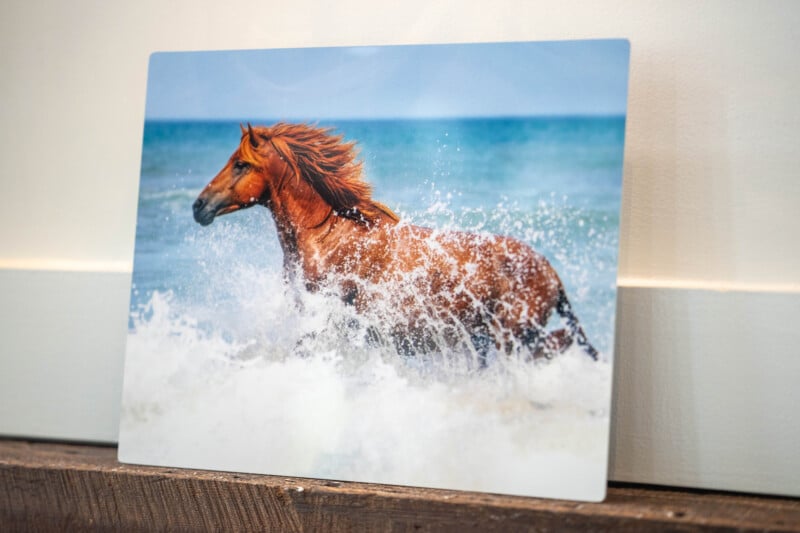 A photograph of a brown horse running through ocean waves, with water splashing around its legs. The background shows the blue sea and sky, and the image is displayed against a white wall and wooden surface.