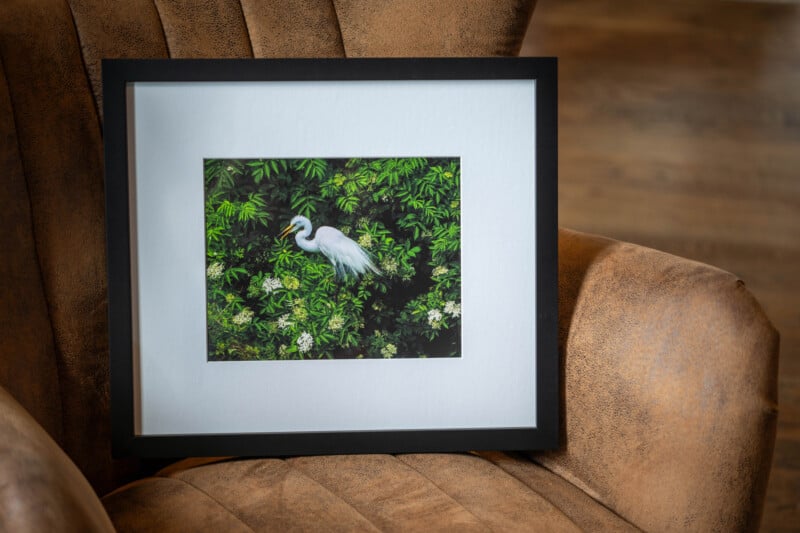 A framed photograph of a white egret standing among lush green foliage rests on a tan, textured armchair with a wooden floor in the background.