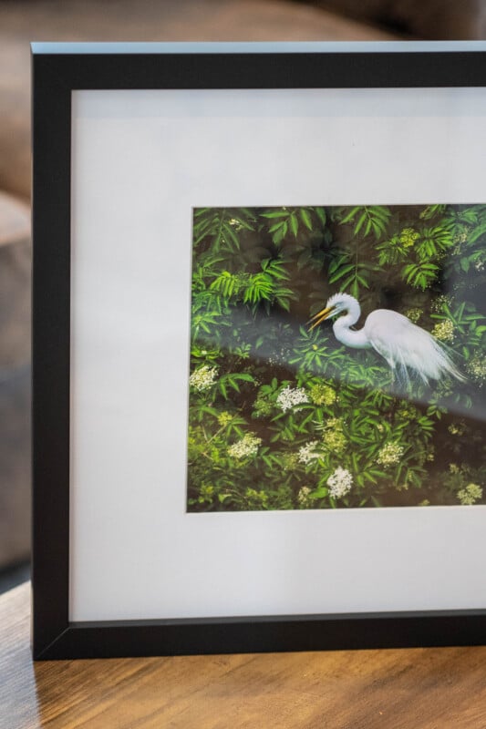 A framed photograph of a white egret standing among lush green foliage and white flowers, displayed on a wooden surface.