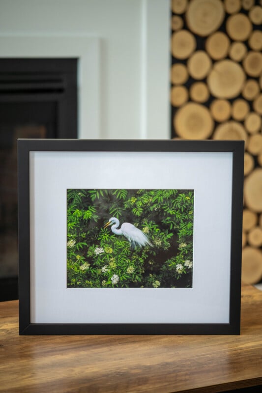 A framed photograph of a white egret standing among green foliage is displayed on a wooden surface; the background includes stacked wood slices and part of a black fireplace.