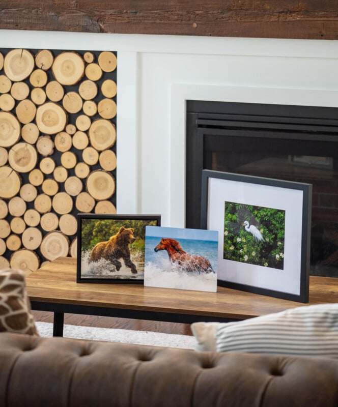 Three framed wildlife photos—a bear running in water, a horse splashing in surf, and a white bird amid greenery—are displayed on a wooden coffee table in a cozy living room with a fireplace and stacked logs.
