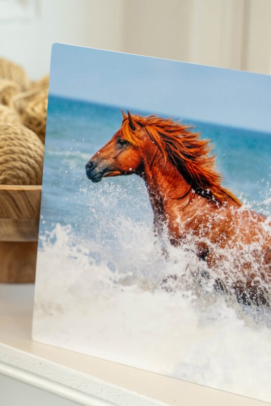 A photo of a brown horse running through ocean waves, with water splashing around it. The background shows a blue sky and sea, and there is a wooden bowl with rope in the blurred background.