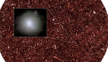 The background image is the COSMOS field observed with the South African MeerKAT radio array. An artistic illustration of the high-energy cosmic ray halo of a star forming galaxy at cosmic noon is overlain. Image Credit: Inter-University Institute for Data-Intensive Astronomy