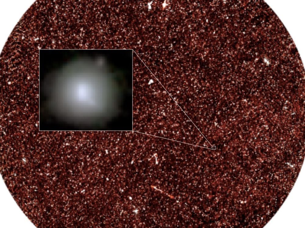 The background image is the COSMOS field observed with the South African MeerKAT radio array. An artistic illustration of the high-energy cosmic ray halo of a star forming galaxy at cosmic noon is overlain. Image Credit: Inter-University Institute for Data-Intensive Astronomy
