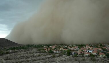 After fearsome dust storm rips Phoenix area, trees cleaned up and power restored