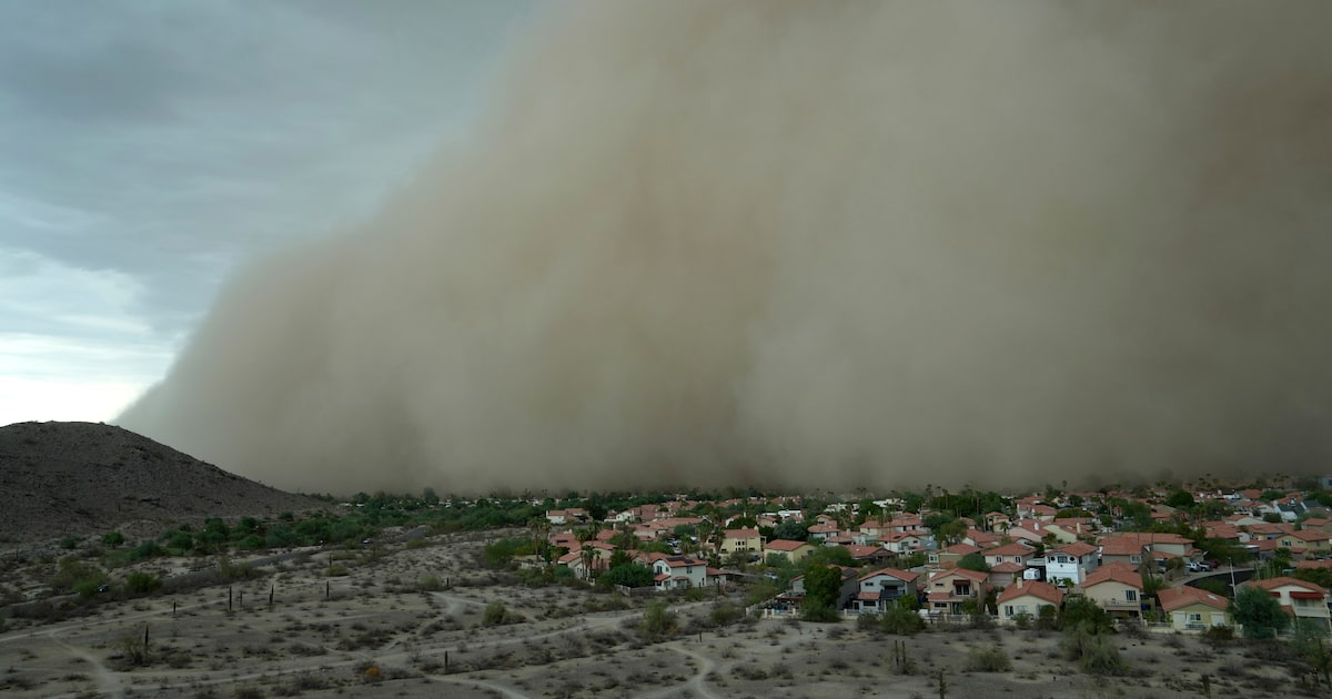 After fearsome dust storm rips Phoenix area, trees cleaned up and power restored