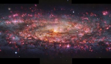 MUSE View of the Sculptor Galaxy