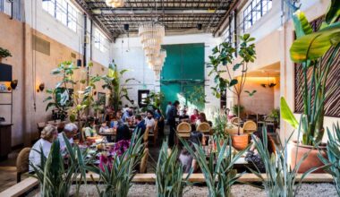 8 Fun Things to Do in San Antonio This Weekend: Aug. 14-17