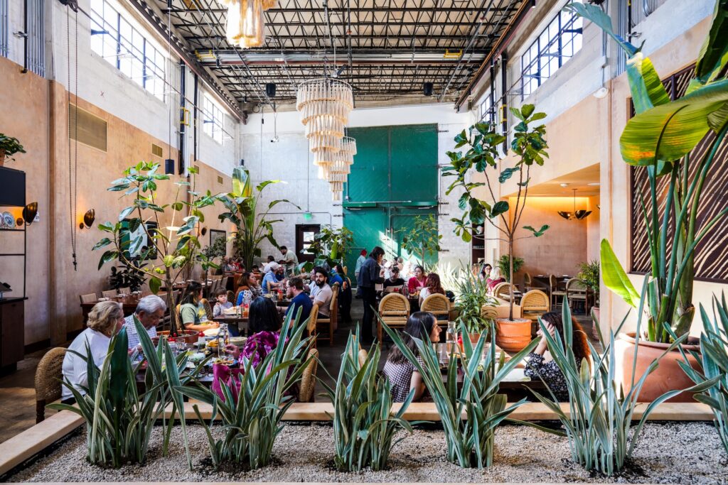 8 Fun Things to Do in San Antonio This Weekend: Aug. 14-17