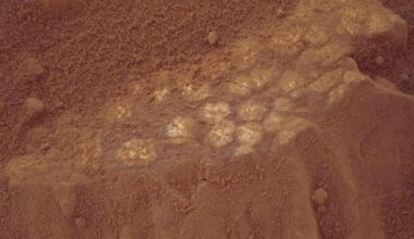 Nasa’s Curiosity Rover Just Found ‘dinosaur Eggs’ On Mars… Is This A Clue To Ancient Life
