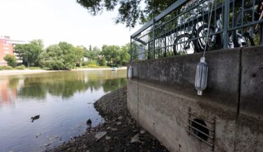 Stratford’s iconic Avon River has dried up, stunning locals and tourists