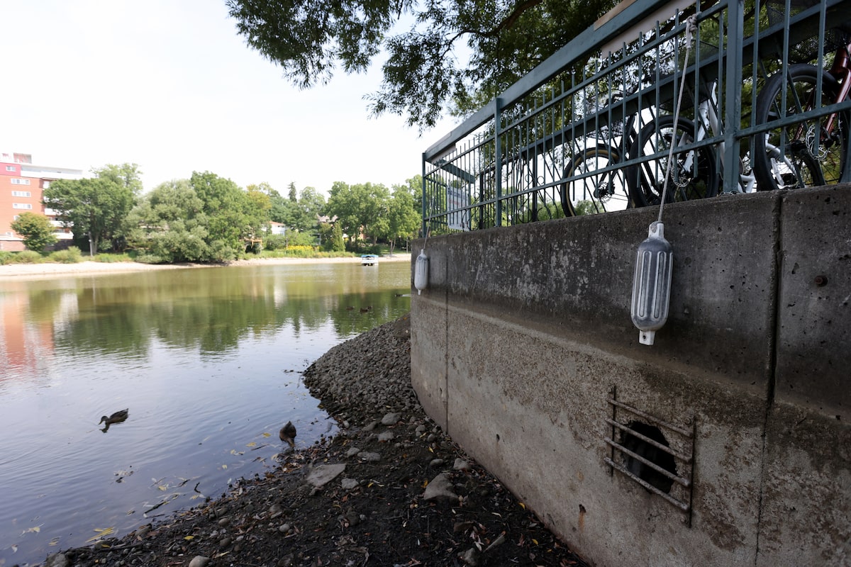 Stratford’s iconic Avon River has dried up, stunning locals and tourists