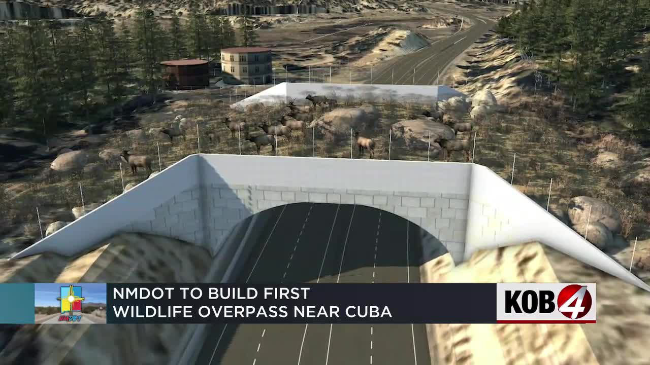NMDOT to build first wildlife overpass near Cuba