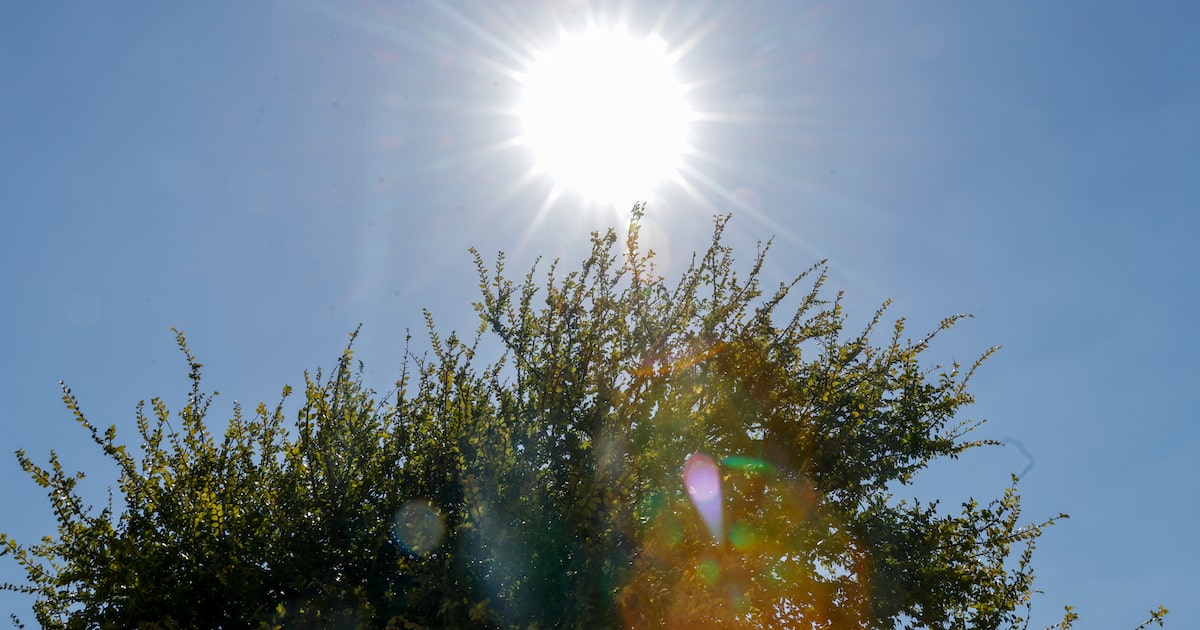 Heat set to return to Dallas-Fort Worth after rainy start to the week