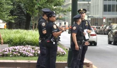 The Q-Teams initiative began in five precincts and a police service area before expanding across Manhattan, the Bronx, Brooklyn and Queens throughout July and August. (Spectrum News NY1)