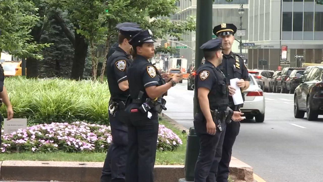The Q-Teams initiative began in five precincts and a police service area before expanding across Manhattan, the Bronx, Brooklyn and Queens throughout July and August. (Spectrum News NY1)