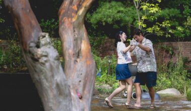 Reviews Of Park Chan-Wook's New Film Are In