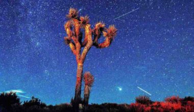 Now’s the time to watch the Perseid meteor show from East County – San Diego Union-Tribune