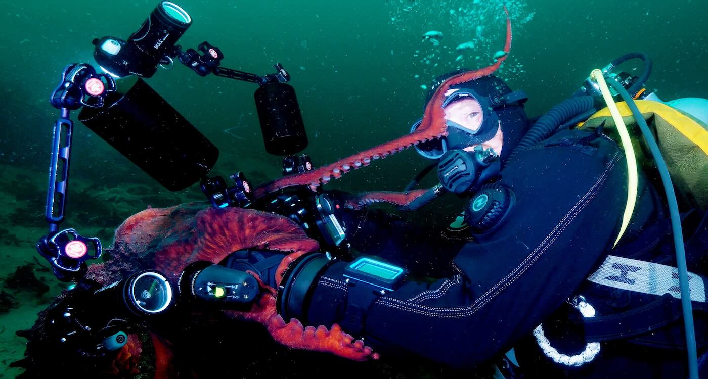 Octopus Playing With Divers Grabs the Camera and Takes Underwater Selfie (WATCH)