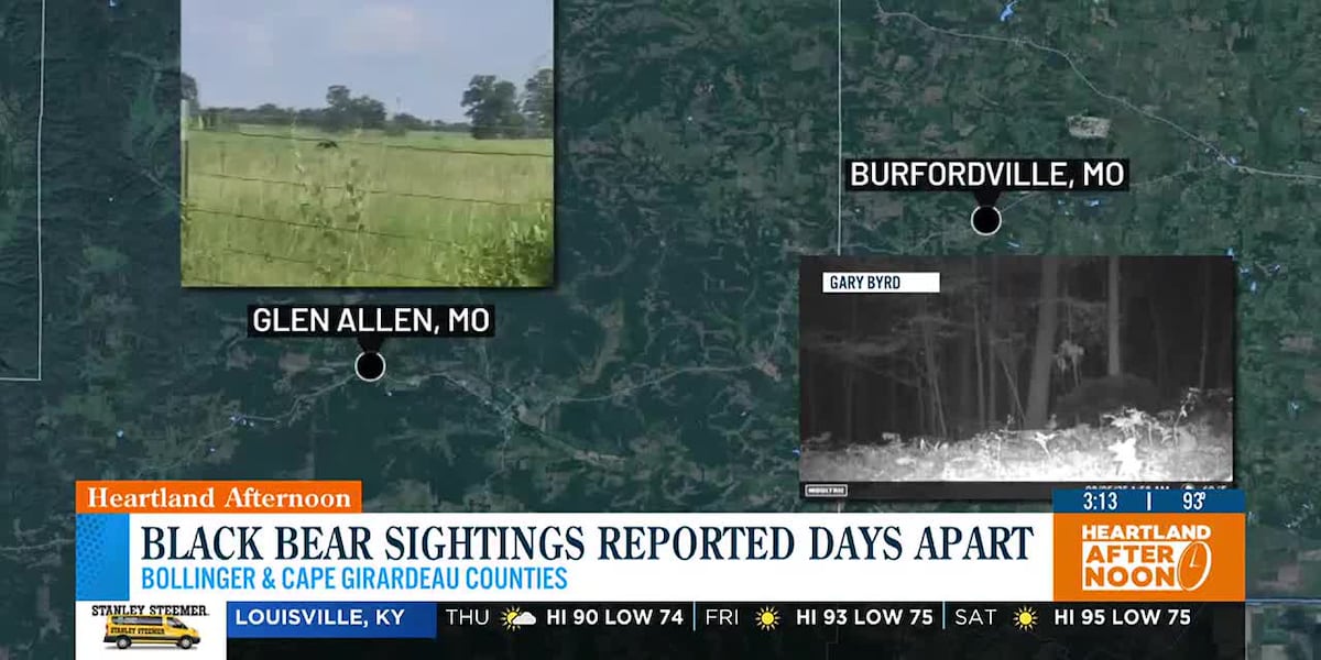 Heartland black bear sightings reported days apart