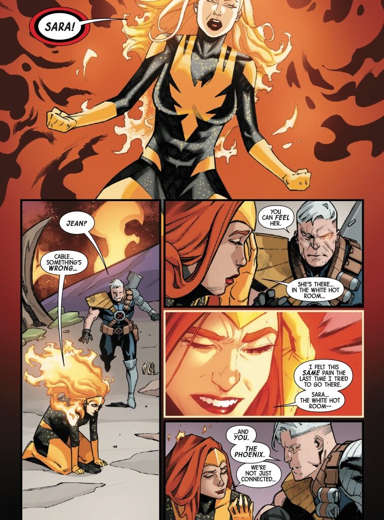 Interior preview page from PHOENIX #14 LUCAS WERNECK COVER