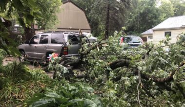 Storm knocks out power, trees in McHenry County Saturday – Shaw Local