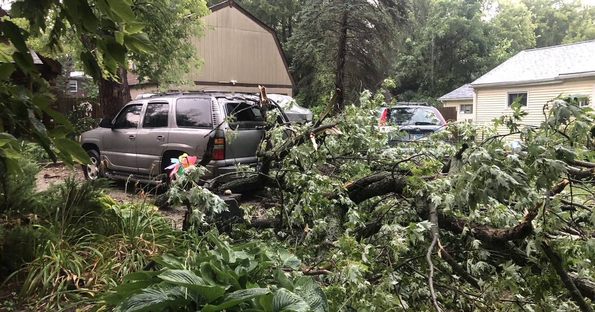 Storm knocks out power, trees in McHenry County Saturday – Shaw Local