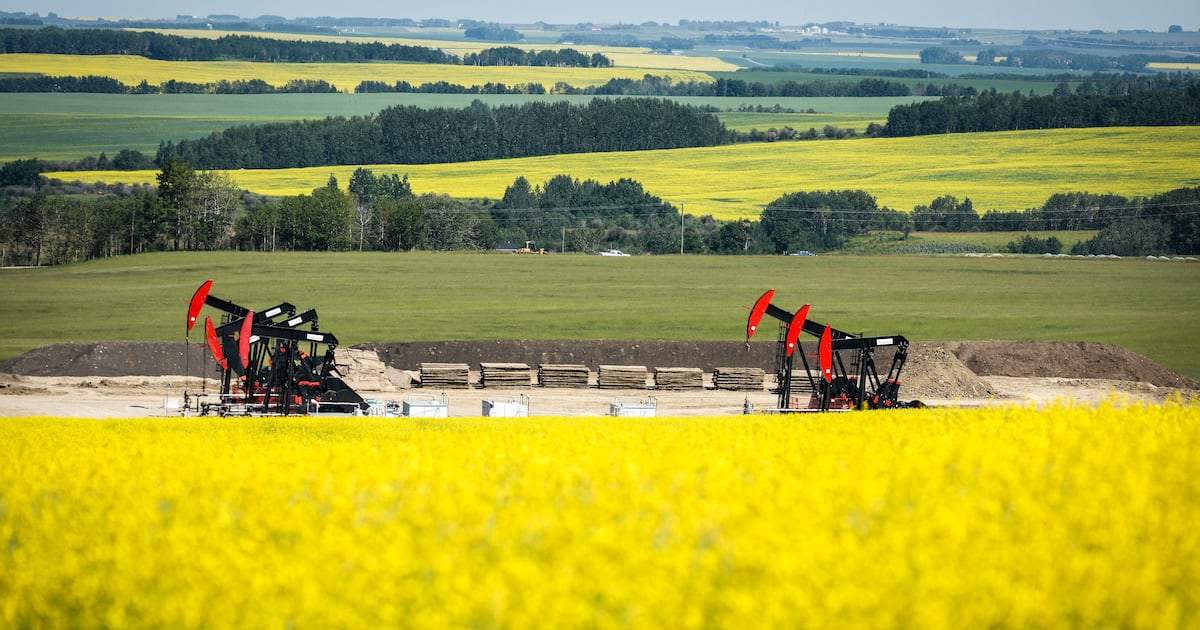 China sets temporary duties on Canadian canola