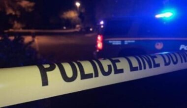 A mother is facing charges after her son was allegedly accidentally shot and killed at a Phoenix mo...